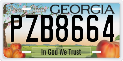 GA license plate PZB8664