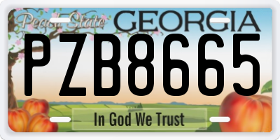 GA license plate PZB8665
