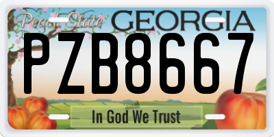 GA license plate PZB8667