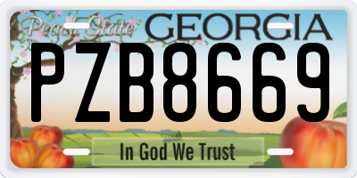 GA license plate PZB8669