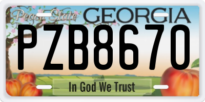 GA license plate PZB8670