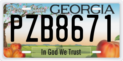 GA license plate PZB8671