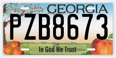 GA license plate PZB8673