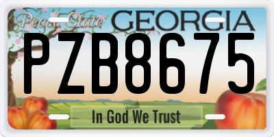 GA license plate PZB8675
