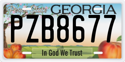 GA license plate PZB8677