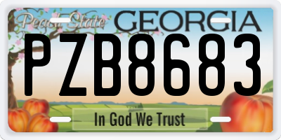 GA license plate PZB8683