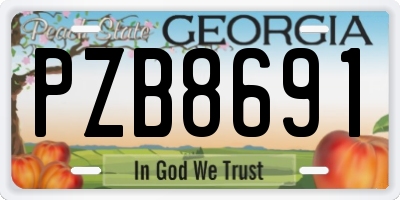 GA license plate PZB8691