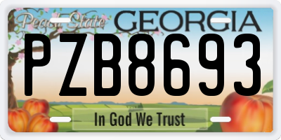 GA license plate PZB8693