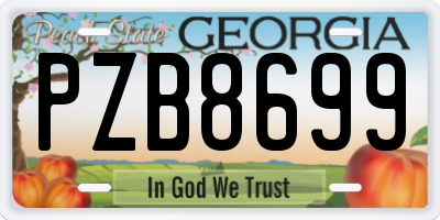 GA license plate PZB8699