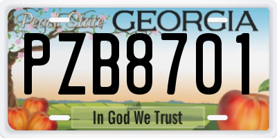 GA license plate PZB8701