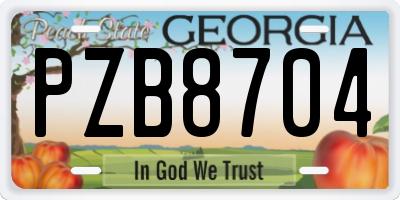 GA license plate PZB8704