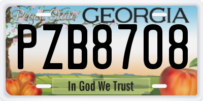GA license plate PZB8708