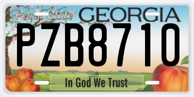 GA license plate PZB8710