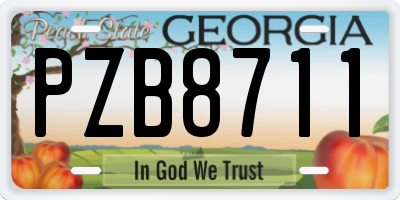 GA license plate PZB8711