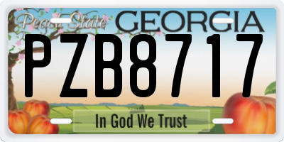 GA license plate PZB8717