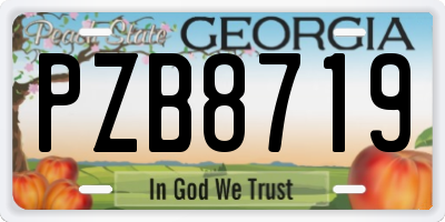 GA license plate PZB8719