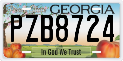 GA license plate PZB8724