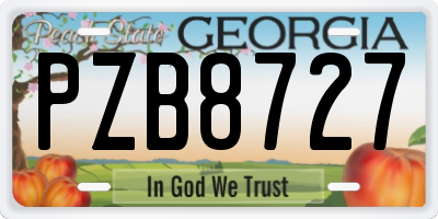 GA license plate PZB8727