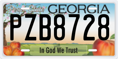 GA license plate PZB8728
