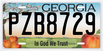 GA license plate PZB8729