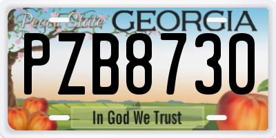 GA license plate PZB8730