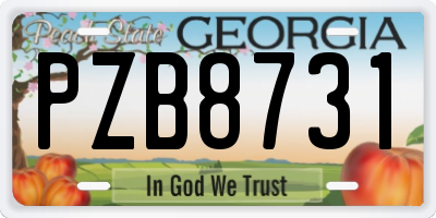 GA license plate PZB8731