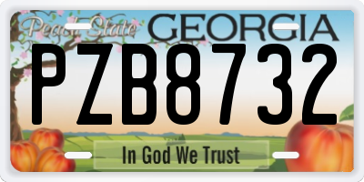 GA license plate PZB8732