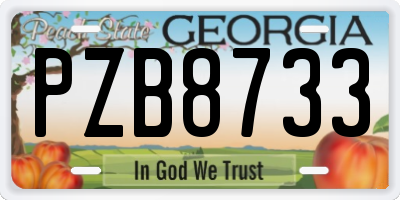 GA license plate PZB8733