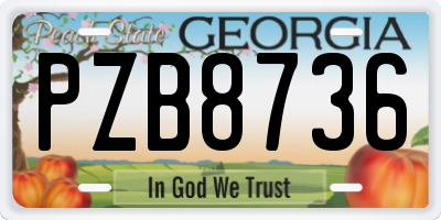 GA license plate PZB8736