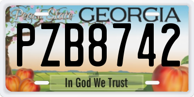 GA license plate PZB8742