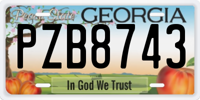 GA license plate PZB8743
