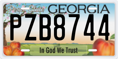 GA license plate PZB8744