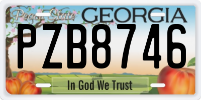 GA license plate PZB8746