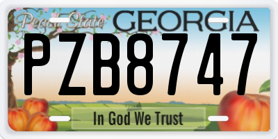 GA license plate PZB8747