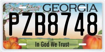GA license plate PZB8748