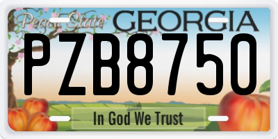 GA license plate PZB8750