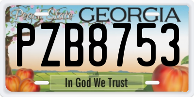 GA license plate PZB8753