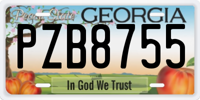 GA license plate PZB8755