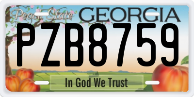 GA license plate PZB8759