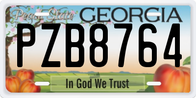 GA license plate PZB8764