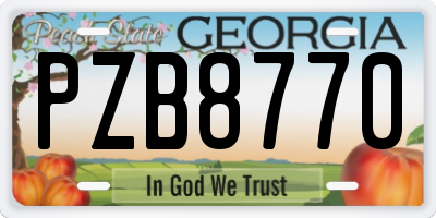 GA license plate PZB8770