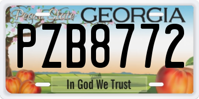 GA license plate PZB8772