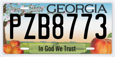 GA license plate PZB8773