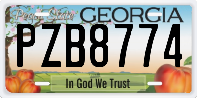 GA license plate PZB8774
