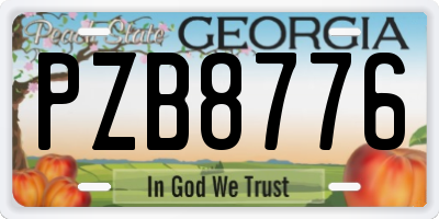 GA license plate PZB8776