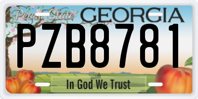 GA license plate PZB8781