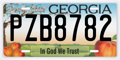 GA license plate PZB8782