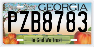 GA license plate PZB8783
