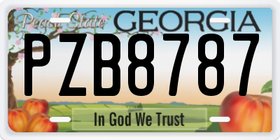 GA license plate PZB8787