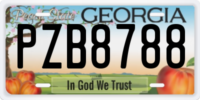 GA license plate PZB8788